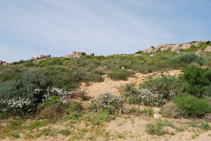 0 Bedroom Property for Sale in St Helena Views Western Cape